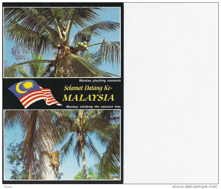 Malaysia B-854 - Malesia