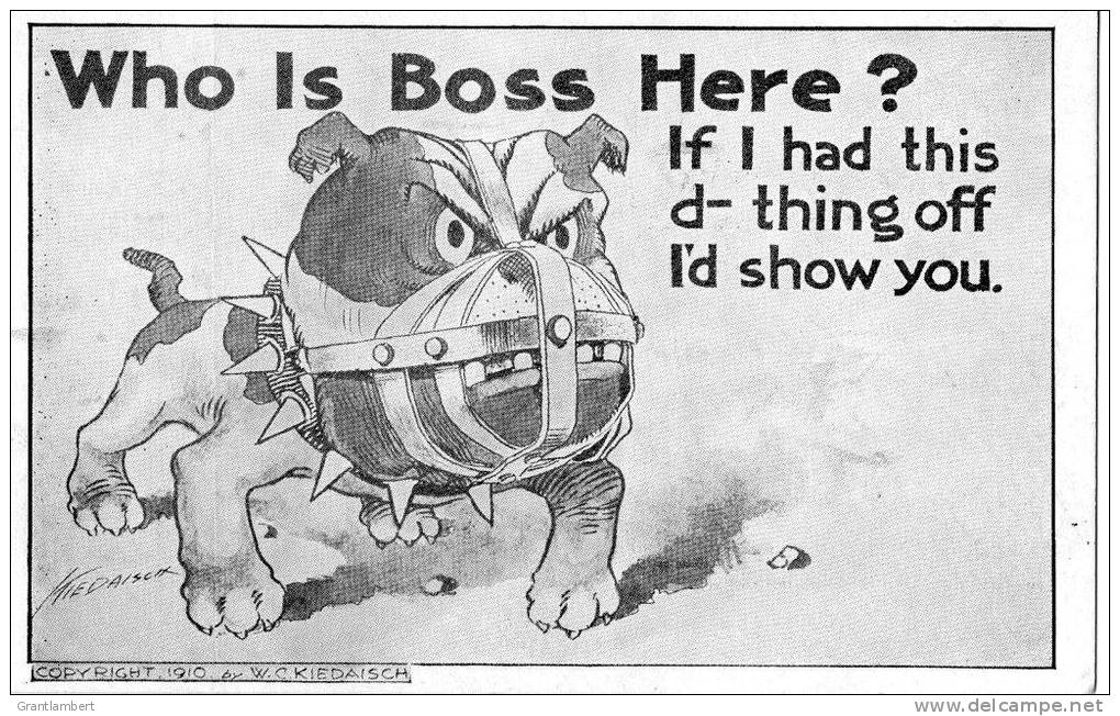 WHO IS BOSS HERE? Copyright 1910 Kiedaisch, Posted Mass. 1910 - Humour