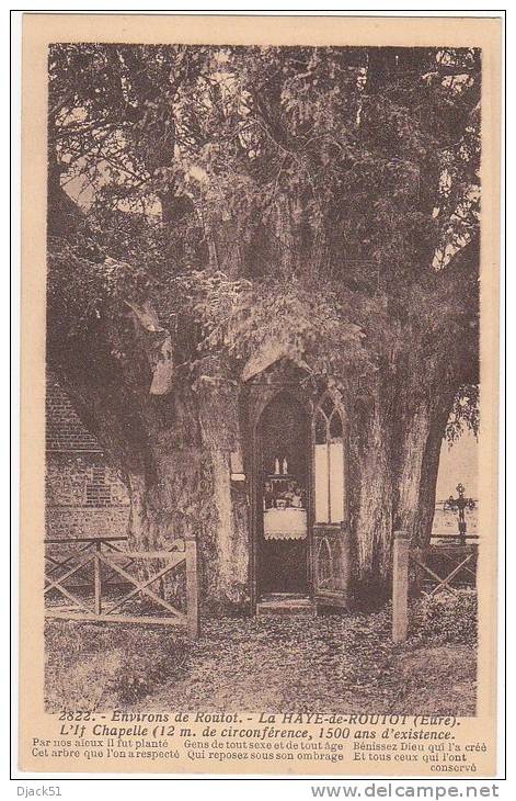 2822. Environs De Routot - La HAYE-de-ROUTOT (Eure) - L'If Chapelle (12m De Circonférence, 1500 Ans D'existence) - Routot