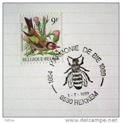 1989 BELGIUM CANCELATION ON PAPER BEEKEEPING BEE BEES INSECT REKKEM - Honeybees