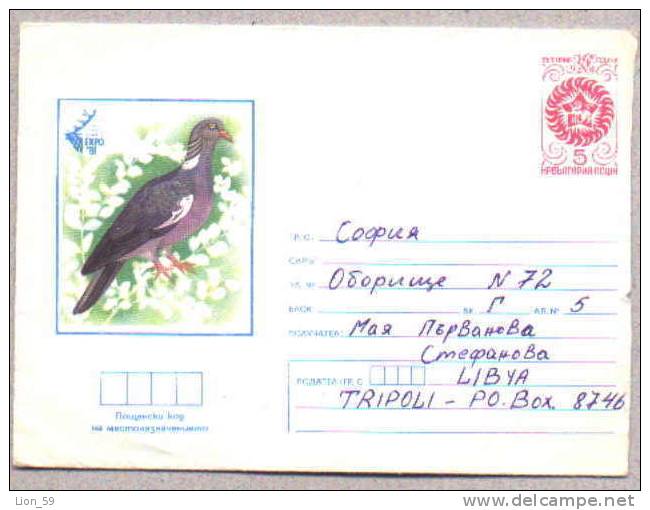5898 / World Hunting Exhibition EXPO , ANIMALS - BIRD DOVE PIGEON 1981 Stationery Entier Bulgaria Bulgarie - Tauben & Flughühner