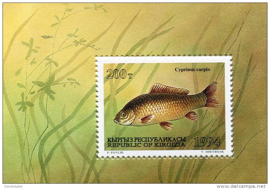 Kirgizia 1994.Cyprinus Carpio.MNH**.Unused.Good.Fish.Fishes.Vis.Vissen.Poisson.Poissons.Peces.Pescado.Sealife.Animals. - Kirgisistan