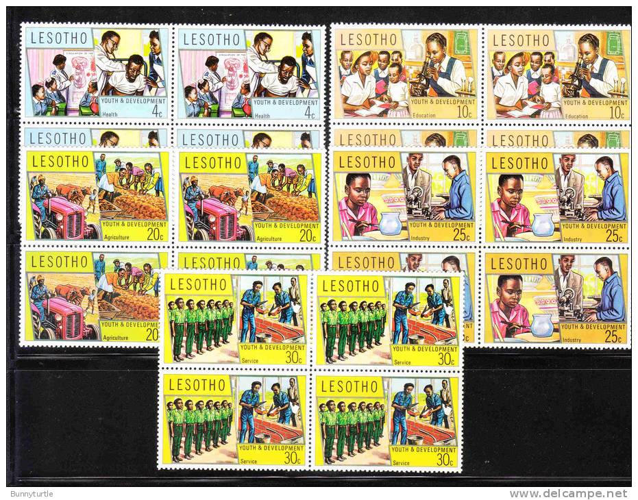 Lesotho 1974 Youth And Development Nurses Tractor Scouts Potter Blk Of 4 MNH - Lesotho (1966-...)