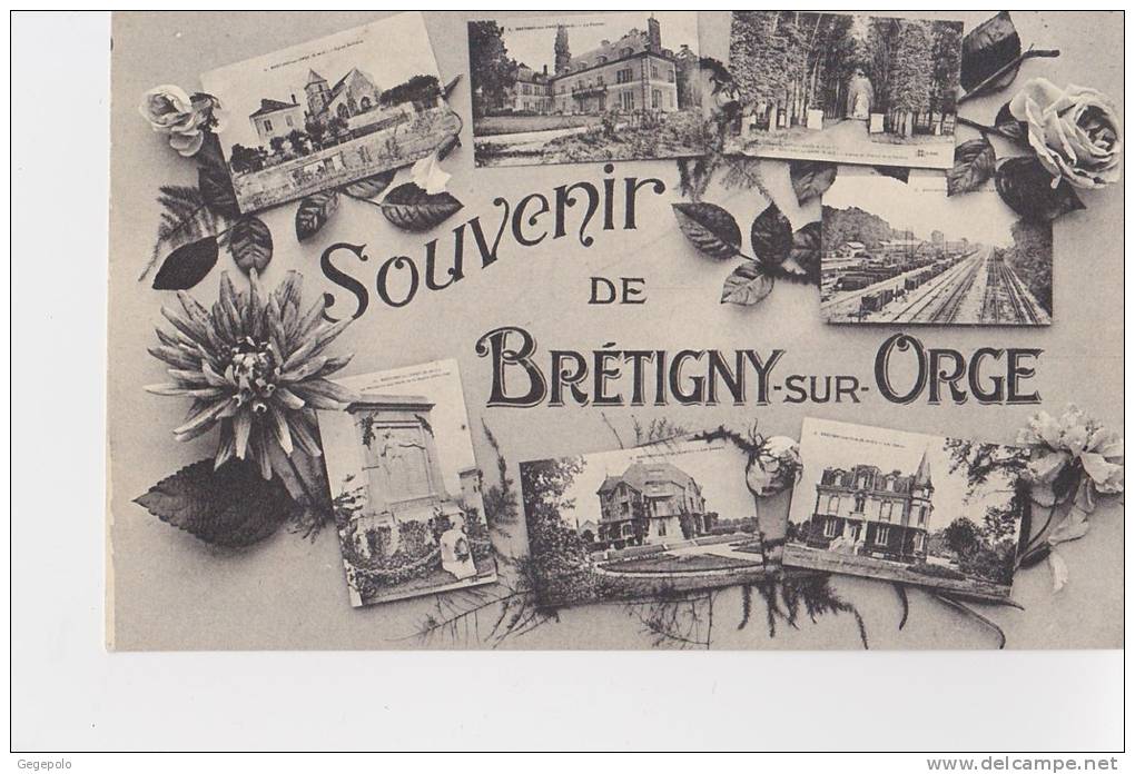 BRETIGNY Sur ORGE - Souvenir De ......... - Bretigny Sur Orge