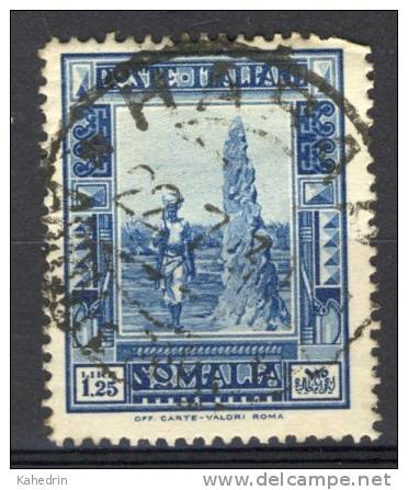 Colonie Italiana Somalia 1932, Termites (o), Used, Nice Cancel, Perf: 14 - Somalië