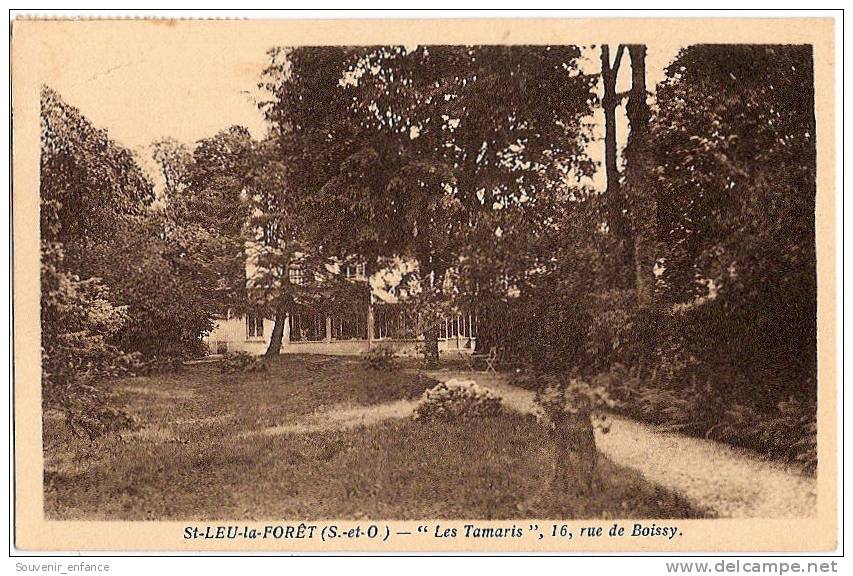 CPA  St Leu La Forêt Saint Les Tamaris  16 Rue De Boissy 95 Val D ´Oise - Saint Leu La Foret