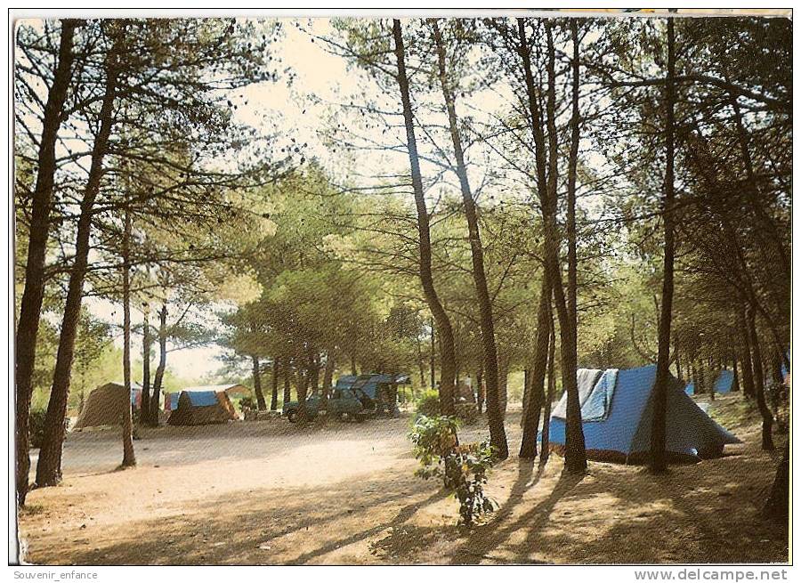 CP Perthuis Camping Municipal 84 Vaucluse - Pertuis