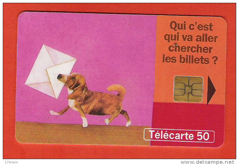 TELECARTE  1998   Le Chien   50 Unités - 1998