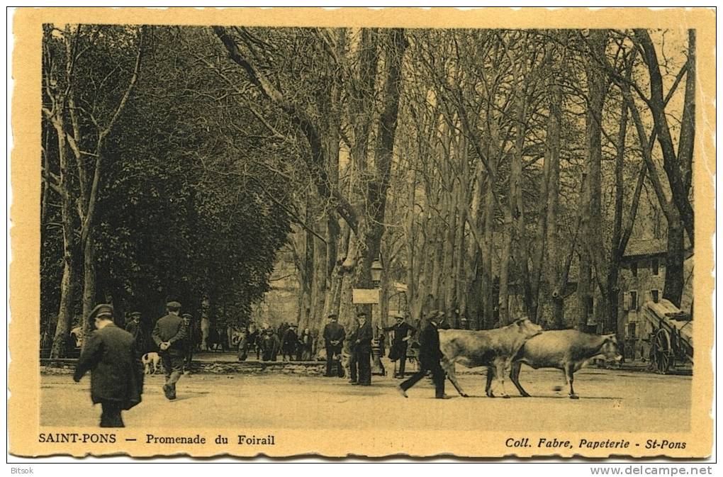 SAINT PONS - Promenade Du Foirail - Saint-Pons-de-Thomières