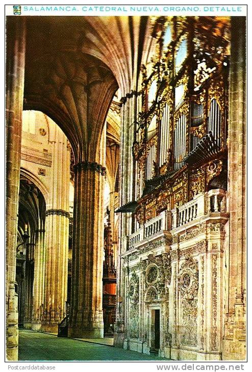 Salamanca, Catedral Nueva, Organo Detalle - Salamanca