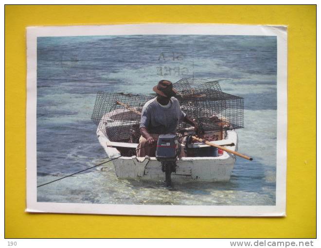 The Fish Traps - Bahamas