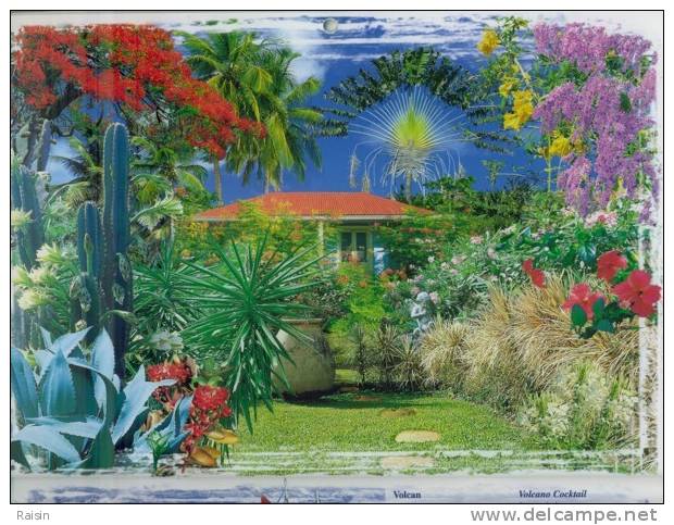 Calendrier 2000 St Martin (Antilles) Grand Format  24 Pages Glacées 21 X 30 Cm  TBE - Groot Formaat: 1991-00