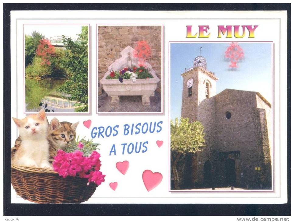 CPM  LE MUY  Multi Vues  Chatons - Le Muy