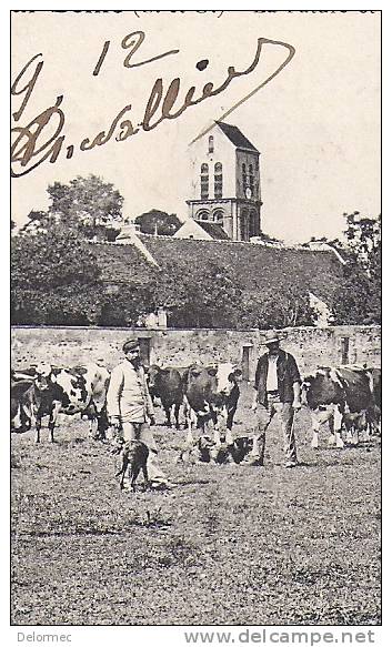 CPA Verneuil Sur Seine 78 Yvelines La Pâture Et Le Clocher De Verneuil Animée N°12 écrite Timbrée 1912 Bon état - Verneuil Sur Seine