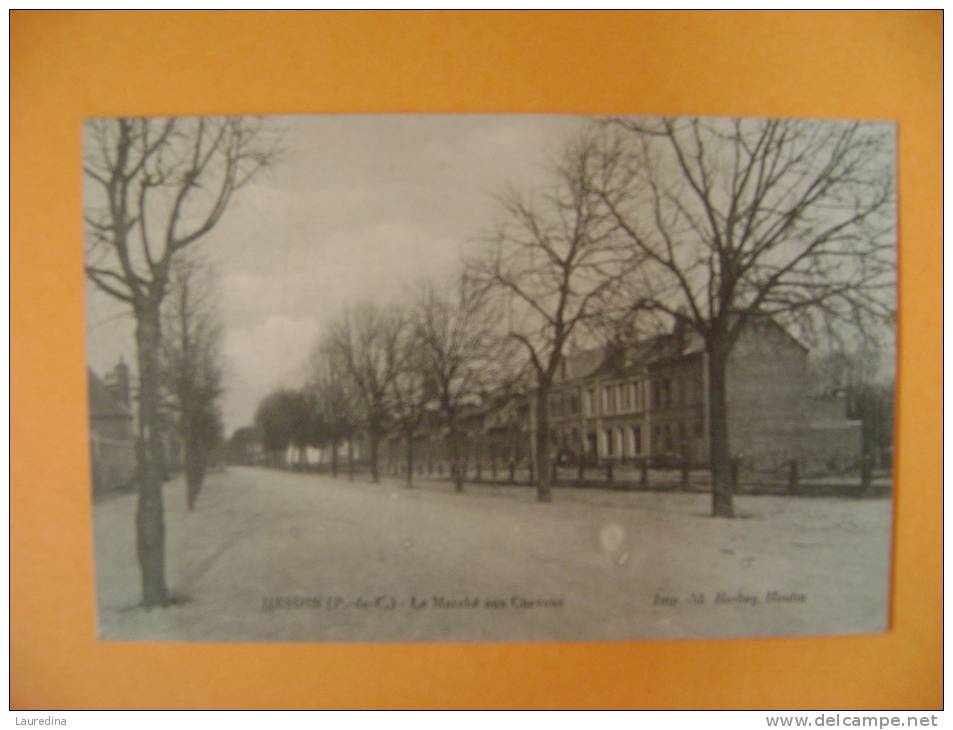 CP  HESDIN   LE MARCHE AUX CHEVAUX - ECRITE EN 1915 - Hesdin