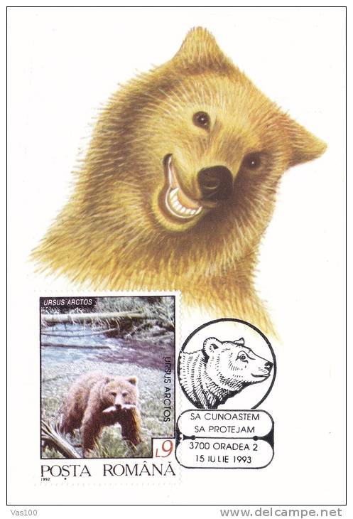 BEAR, OURS, 1993, CM MAXI CARD, CARTES MAXIMUM, ROMANIA - Bears