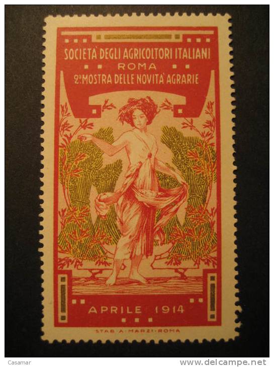 ITALY Italia Roma 1914 Agriculture Farms Food Gastronomy Poster Stamp Label Vignette Vi&ntilde;eta - Agriculture