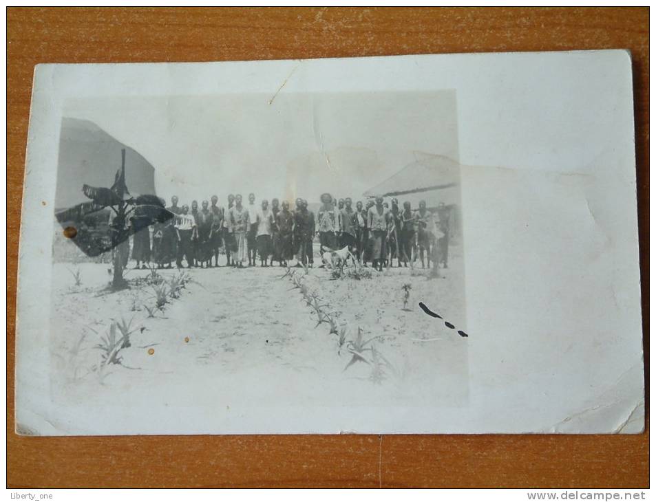 TE IDENTIFICEREN / IDENTIFY Plantage ( Kapanda Kilem Bé Le 20 Novembre 1924 ) ( Fotokaart - Zie Foto Voor Details ) !! - Angola