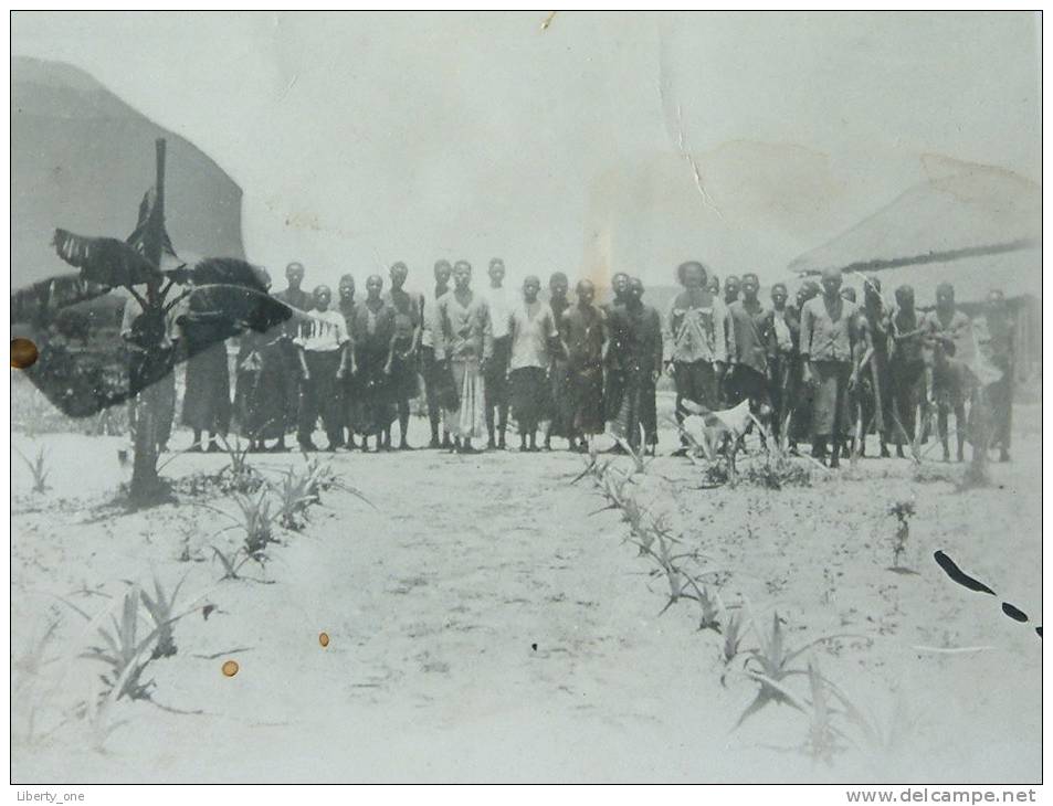 TE IDENTIFICEREN / IDENTIFY Plantage ( Kapanda Kilem Bé Le 20 Novembre 1924 ) ( Fotokaart - Zie Foto Voor Details ) !! - Angola