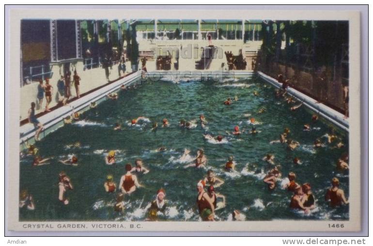 CRYSTAL GARDEN Swiming Pool VICTORIA CANADA Postcard C1920-30s - Victoria