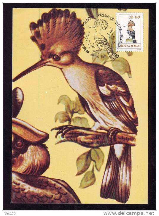 BIRD, 1996, CM. MAXI CARD, CARTES MAXIMUM, MOLDOVA - Pics & Grimpeurs