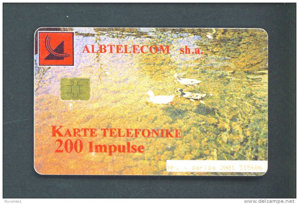 ALBANIA  -  Chip Phonecard As Scan - Albanie