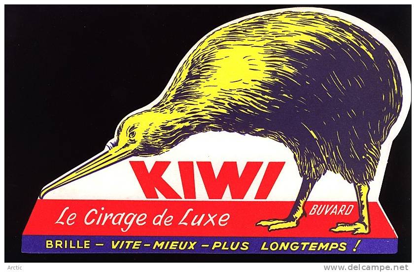 Kiwi Cirage Tampon Bueucler La Tremblade 17 - Scarpe