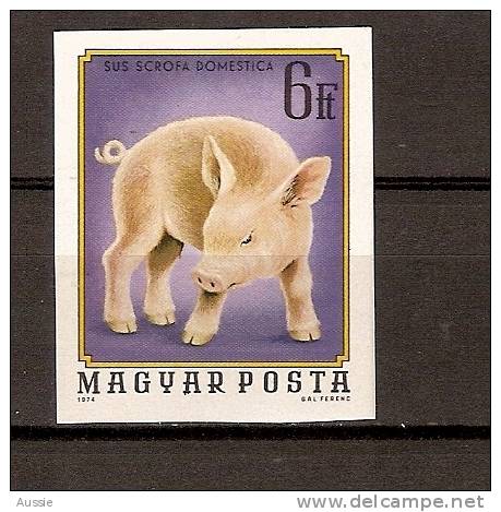 Hongrie Hongarije Ungarn 1974 Yvertn° 2410 ND *** MNH Faune Cochon Varken Pig - Nuevos