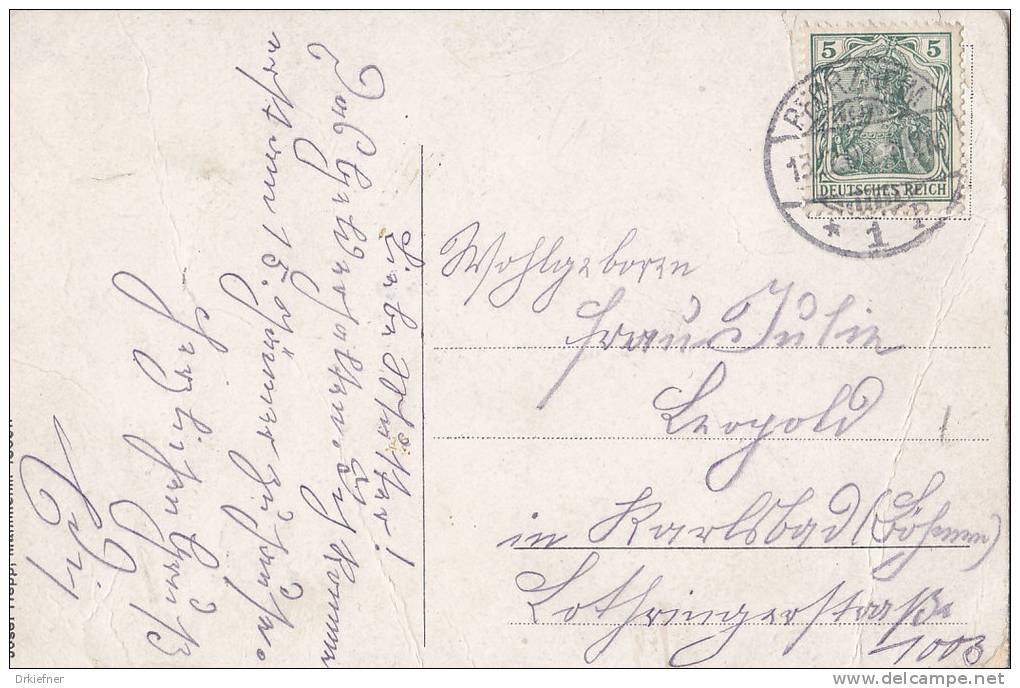 PFORZHEIM, Saalbau Mit Stadtgarten, Blühende Kastanie, Stempel: Pforzheim 15.12.1908 Nach Karlsbad - Pforzheim
