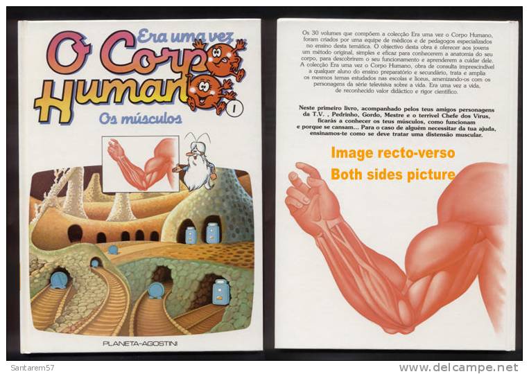 Livre Book Livro Era Uma Vez O Corpo Humano N° 1 Il étatit Une Fois Ouvrage En Portugais 1991 Os Músculos Les Muscles - Fumetti & Mangas (altri Lingue)