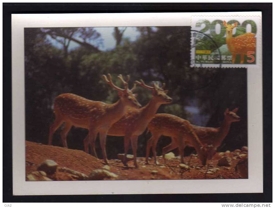 Taiwan(Formosa) Carte Maximum Card -Taiwan Sika Deer 2000 - Maximum Cards