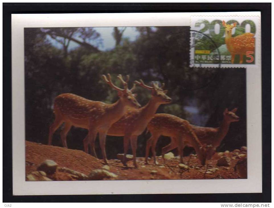 Taiwan(Formosa) Carte Maximum Card -Taiwan Sika Deer 2000 - Cartoline Maximum