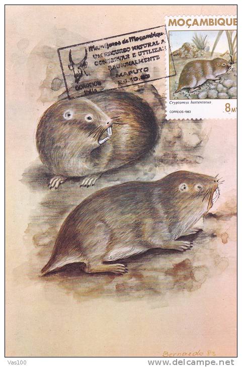 RONGEURS, MICE, 1983, CM. MAXI CARD, CARTES MAXIMUM, ROMANIA - Rodents