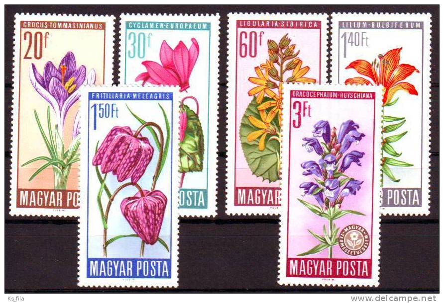 HUNGARY - 1966. Flower Protection - MNH - Nuevos