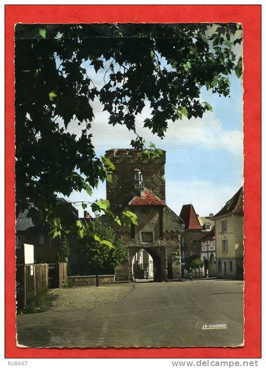 * CERNAY-La Porte De Thann,vestige De L'enceinte Fortifiée Du Moyen Age-1965 - Cernay