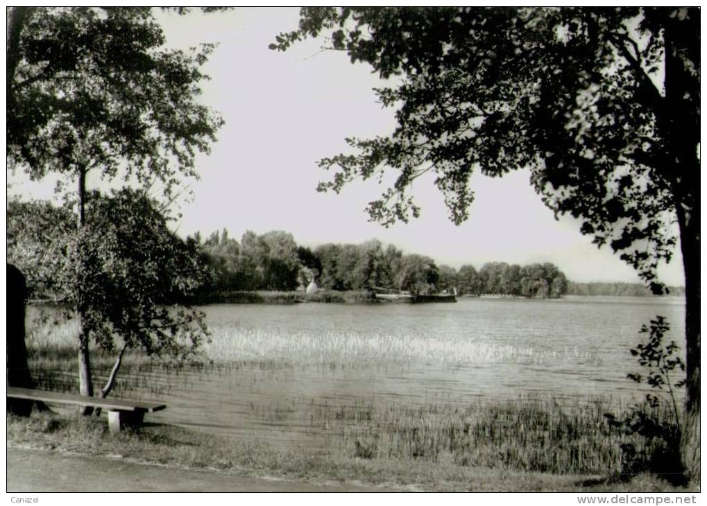 AK Groß Köris (Königs Wusterhausen), OT Kleinköris, See, Gel, 1979 - Koenigs-Wusterhausen