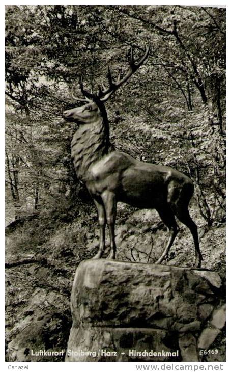 AK Stolberg/Harz, Hirschdenkmal, Ung, 1959 - Stolberg (Harz)