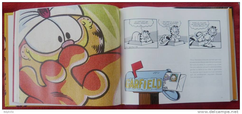 Garfield 30 Ans De Rires Et De Lasagnes DARGAUD EO 2008 Jim Davis - Garfield