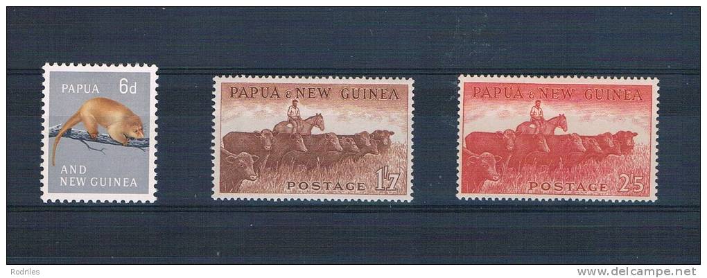 PAPUA Y NUEVA GUINEA. FAUNA - Penrhyn