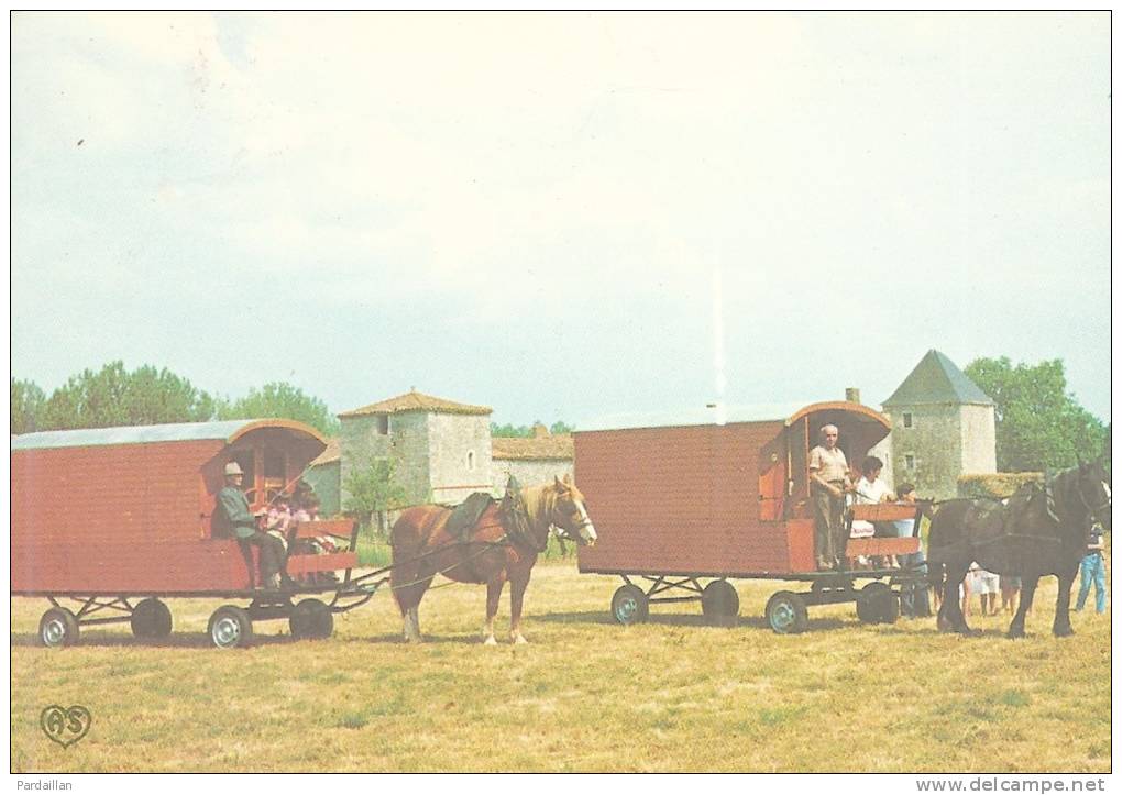 85.  SAINTE-HERMINE.  RANDONNEES HIPPOMOBILES DU BAS BOCAGE VENDEEN.  ROULOTTES ATTELEES. ANIMATION.  BEAU PLAN. - Sainte Hermine