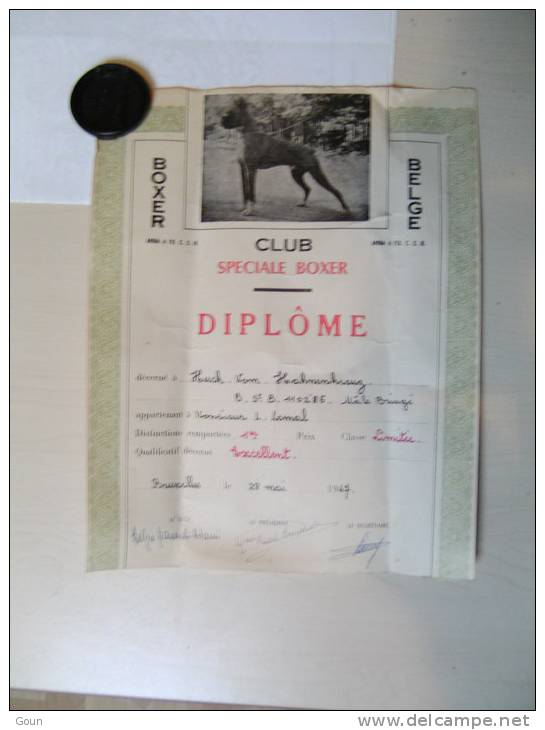 AA Diplome Concours Canin 1967 Boxer Club Belge Chien Format A4 - Diplômes & Bulletins Scolaires