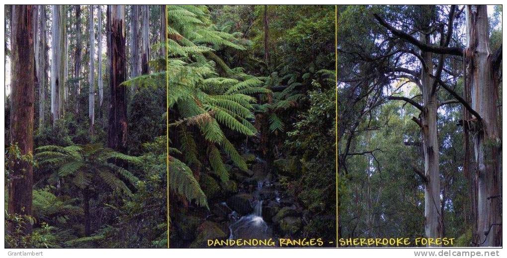 Sherbrooke Forest, Dandenong Ranges East Of Melbourne - Givenworks Long 21cm Unused - Melbourne