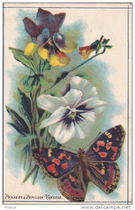 La Pensée à Grandes Fleurs - Un Papillon - Carte 8 X 13 Cms. - Autres & Non Classés