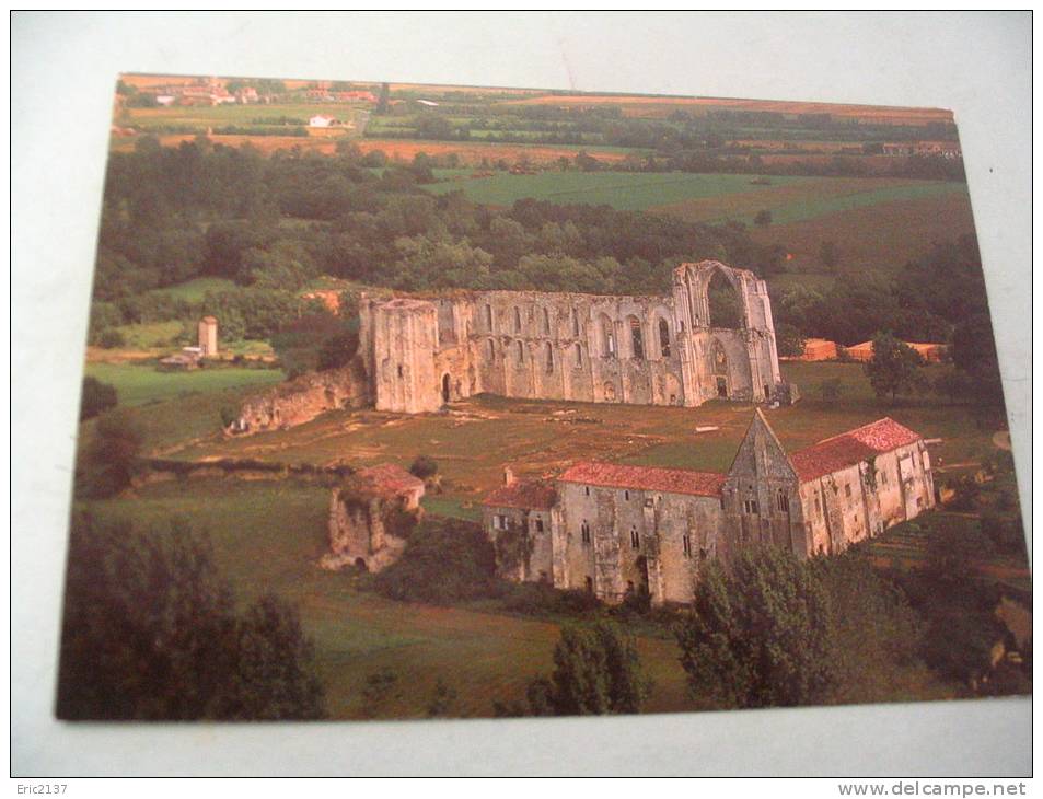 ABBAYE SAINT-PIERRE - Maillezais