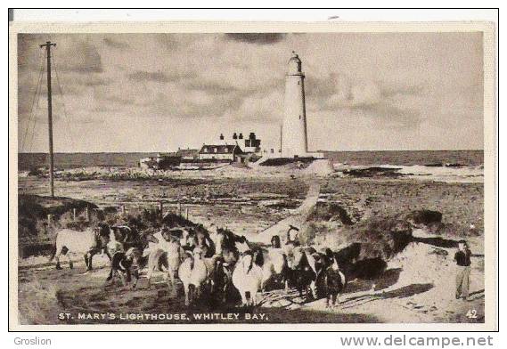 ST MARY'S LIGHTOUSE WHITLEY BAY (HOMME PHARE ET CHEVAUX) 42 - Autres & Non Classés