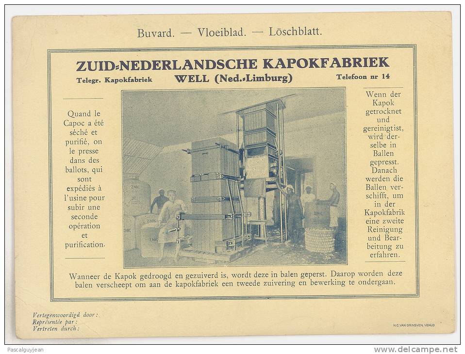 BUVARD - ZUID-NEDERLANDSCHE KAPOKFABRIEK - Agricultura