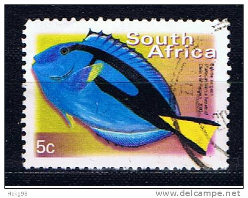 RSA+ Südafrika 2000 Mi 1285 Fisch - Used Stamps