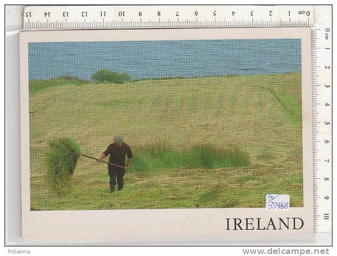 PO3398B# IRLANDA - EIRE - AGRICOLTORE  VG 1989 - Donegal