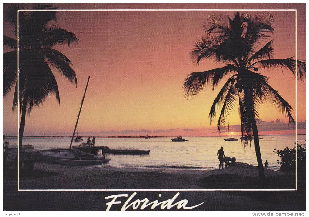 FLORIDA: BEACHES WITH PALM TREES. POASTCARD,CARTE POSTALE - USA - Miami