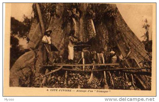 COTE D´IVOIRE Abatage D'un Fromager  Missions Africaines Cours Gambetta Lyon - Côte-d'Ivoire